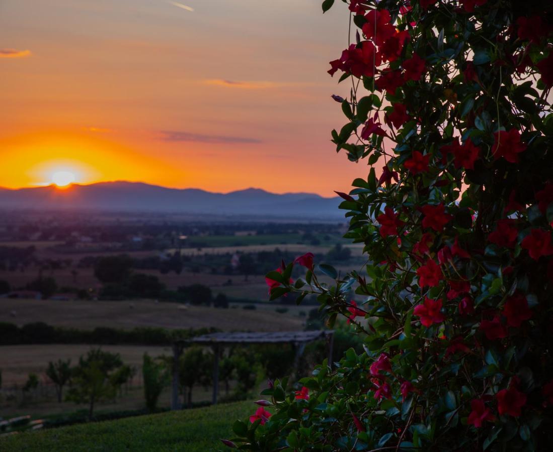 Podere N.8 Bio Casale Maremma Alberese Extérieur photo